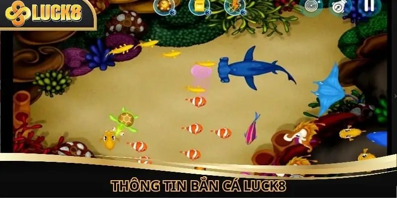 Thông tin cơ bản về sảnh săn cá đổi thưởng hot